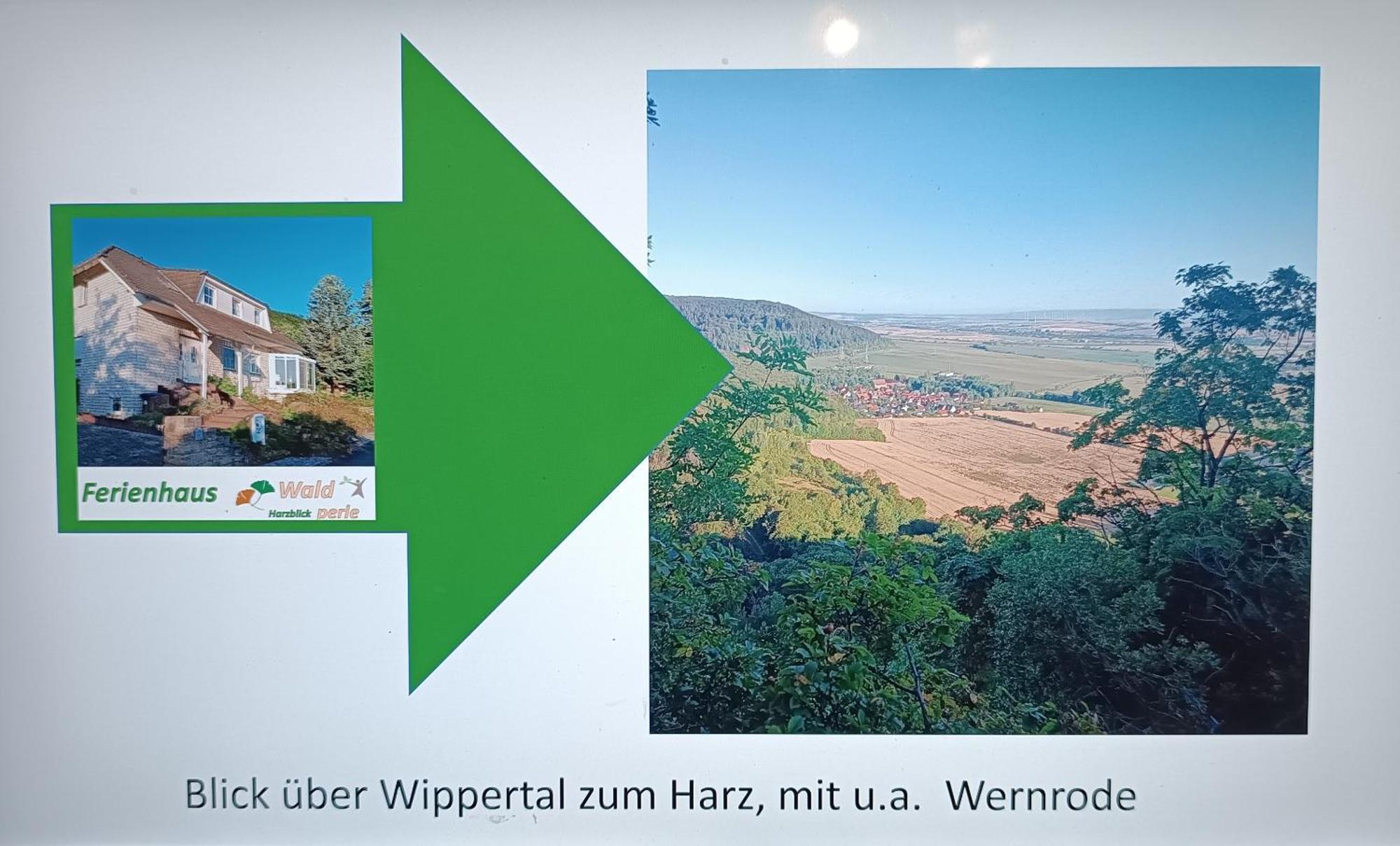 Ferienhaus Waldperle Harzblick Wernrode Exterior foto