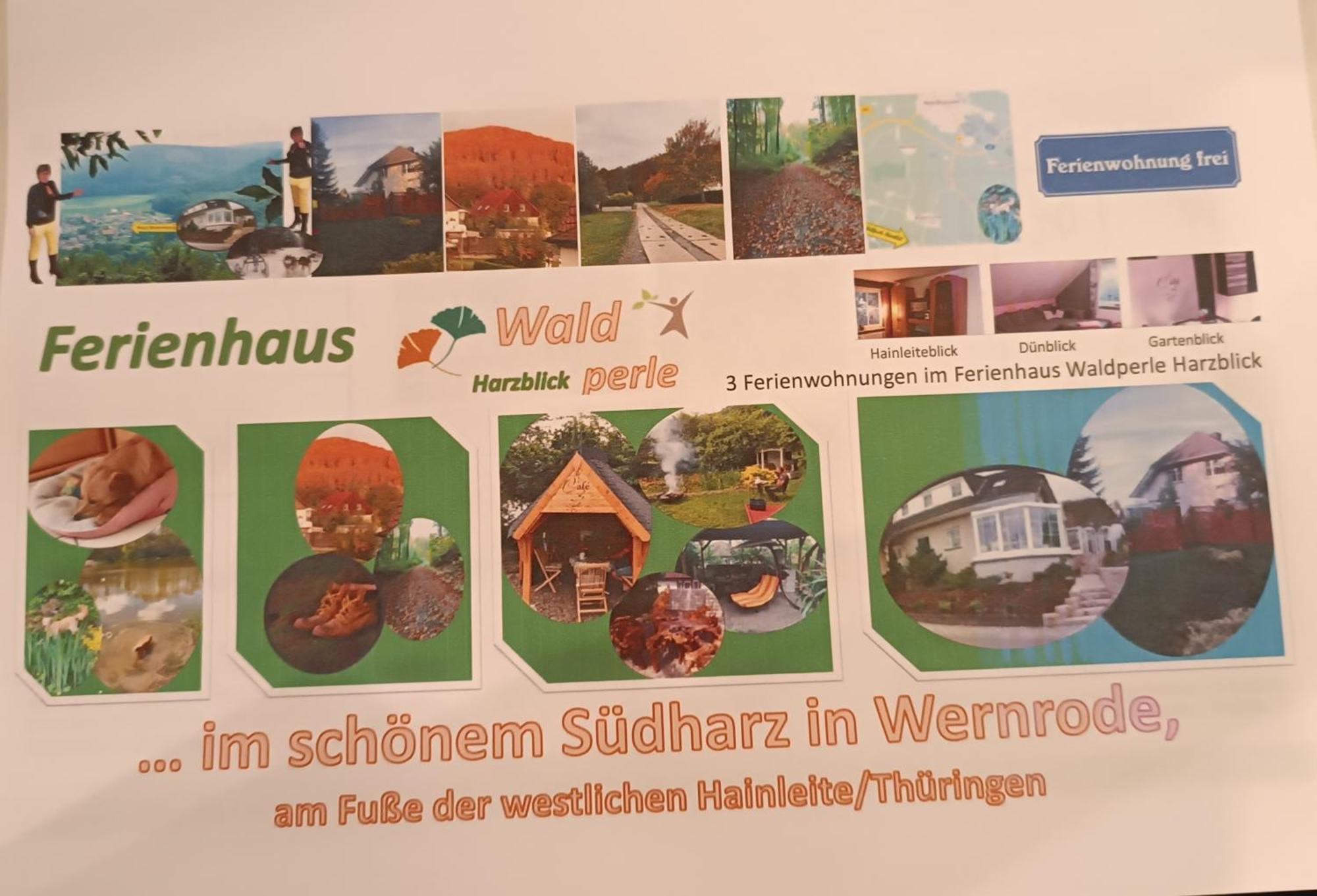 Ferienhaus Waldperle Harzblick Wernrode Exterior foto