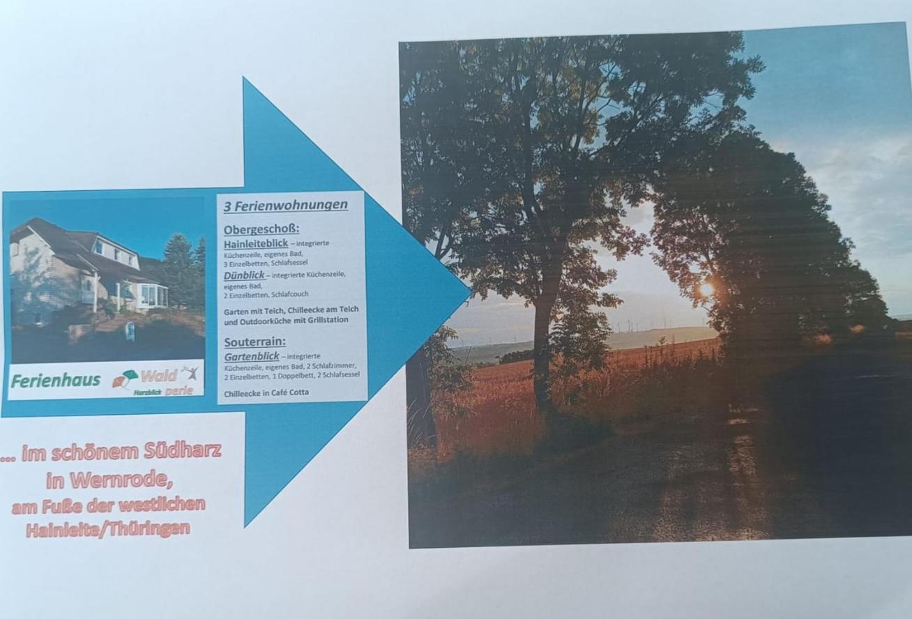 Ferienhaus Waldperle Harzblick Wernrode Exterior foto